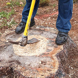 Finish the Planting Hole