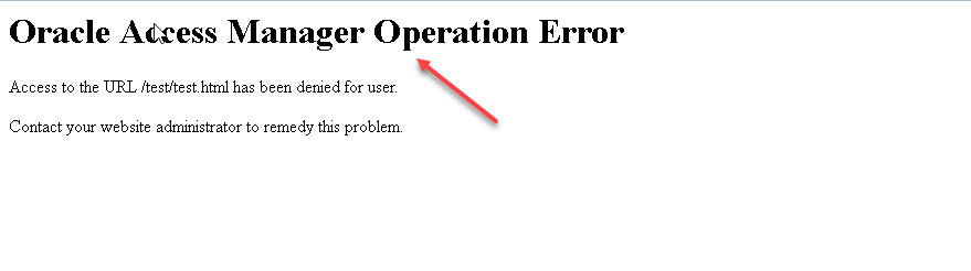 Enterprise Security: Customizing 