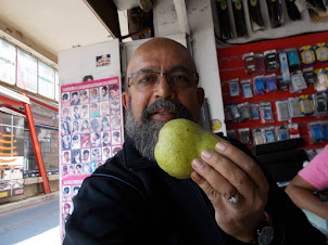 Eating one of the largest Pear fruit in my life .