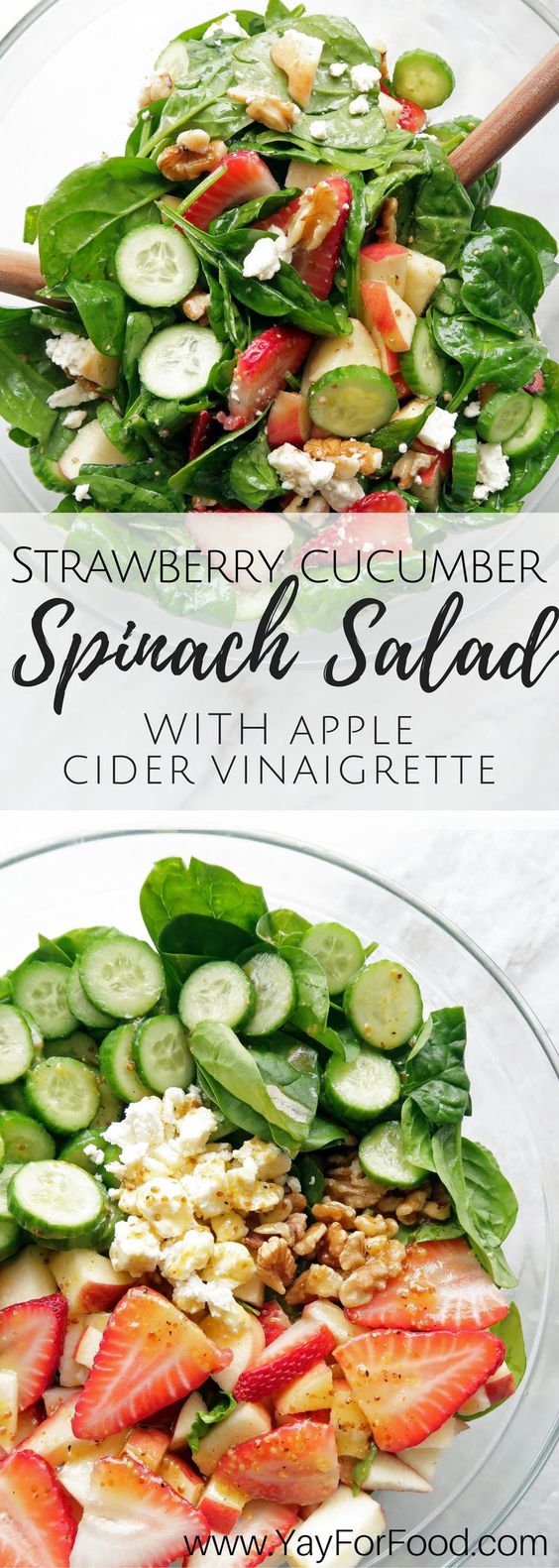 A healthy and fresh spring salad that is filling enough to be a meal or a great side dish. A homemade apple cider vinaigrette brings this flavourful salad together!