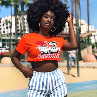 34+ Amazing Short Afro Crochet Braids Hairstyles Ponytails 2019 Crochet hair extensions are one of the simplest protective styling choices for short natu 34+ Amazing Short Afro Crochet Braids Hairstyles Ponytails 2019