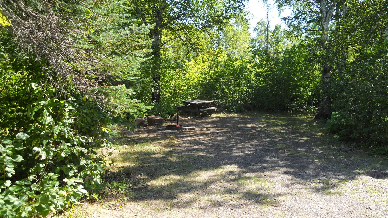 National Forest Camper Wilson Lake Campground