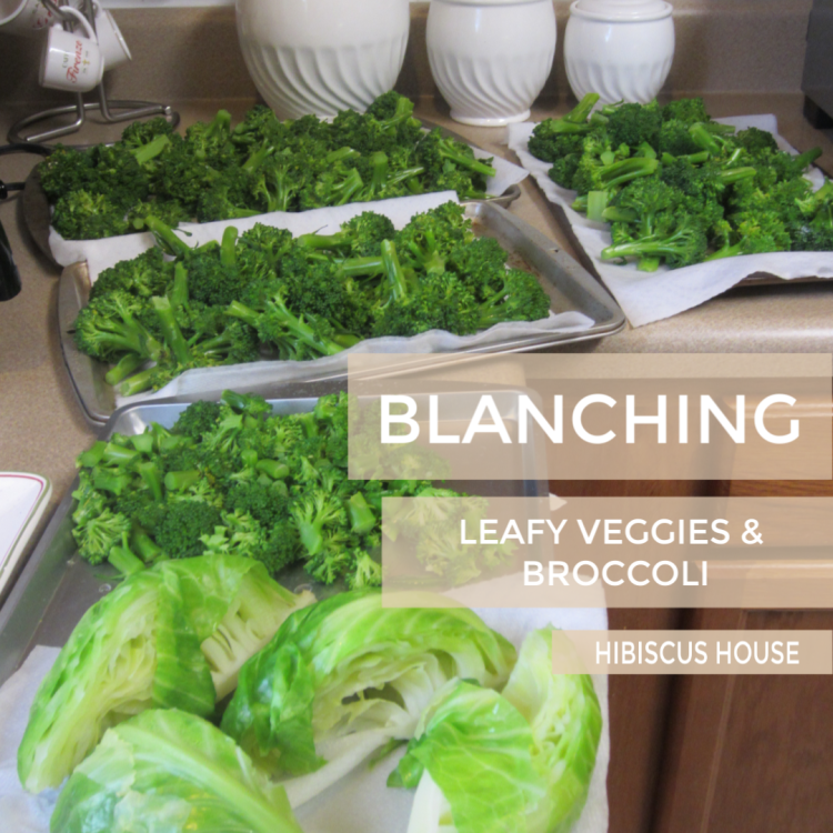 Blanching Chart For Freezing Vegetables