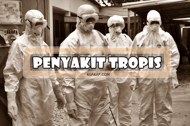 MACAM-MACAM PENYAKIT TROPIS MACAM-MACAM PENYAKIT TROPIS