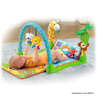 1 Fisher-Price Precious Planet™ MO-2407 Mix and Match Musical Gym