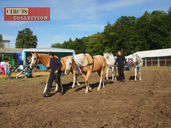 la menagerie du Cirque Knie 