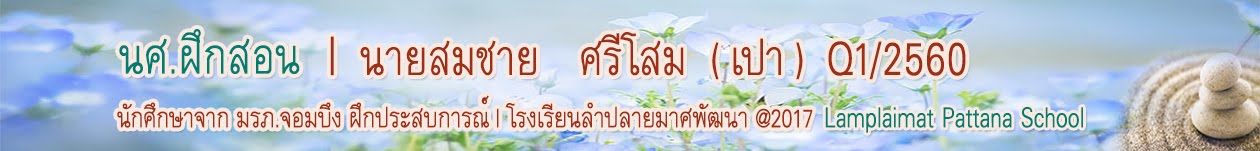 นศ.ฝึกสอน | นายสมชาย ศรีโสม (เปา) | Q1/2560