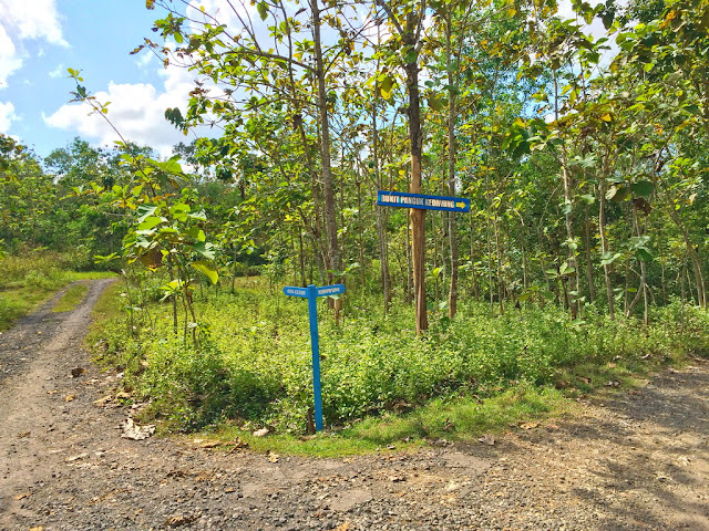 petunjuk arah menuju bukit panguk petunjuk arah menuju bukit panguk