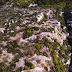 Βραδέτο:Οδοιπορικό στο  το πιο ψηλό χωριό στα Ζαγοροχώρια...  και στη σκάλα που χρειάστηκαν 20 χρόνια για να χτιστεί![βίντεο]
