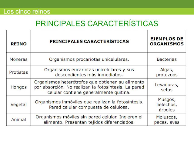 CIENCIA TECNOLOGÍA Y AMBIENTE: LOS CINCO REINOS