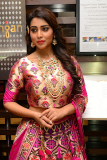 Shriya saran at Fashion show photos Shriya saran at Fashion show photos