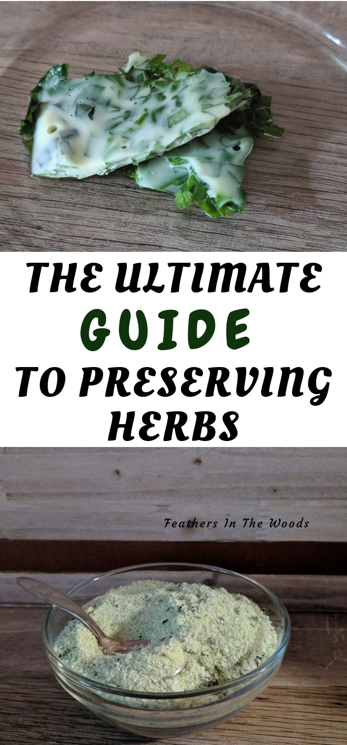 Ultimate guide to preserving herbs Feathers in the woods