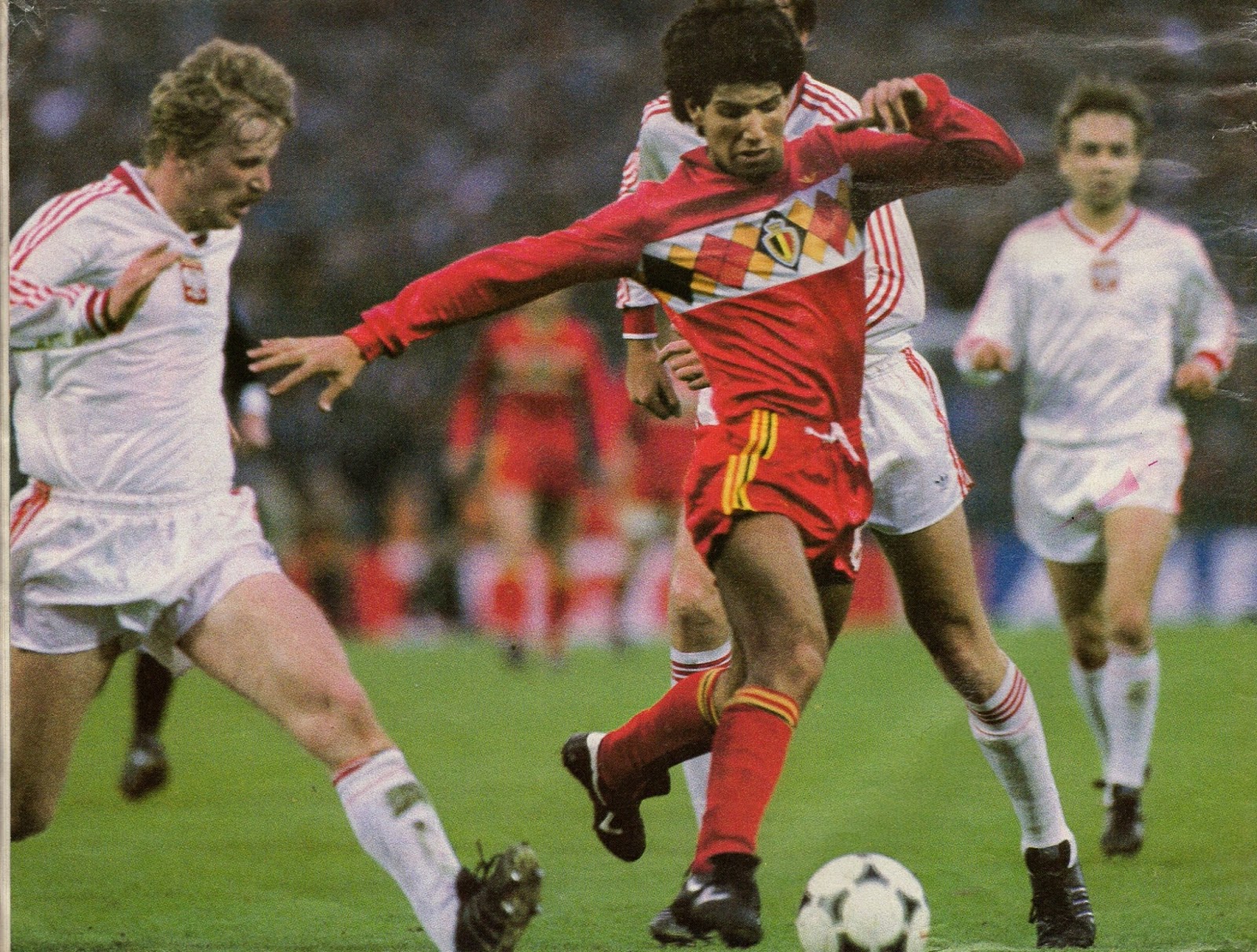 Image result for belgium world cup 1984