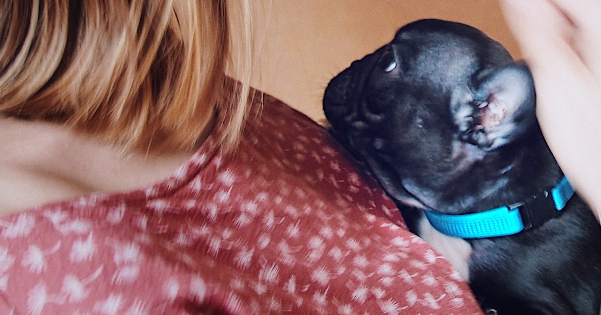 3 Bp Blogspot Com Noh42j58bai Urs Kj4rj2i Aaaaaaaaa5o L0bgukyn5f4