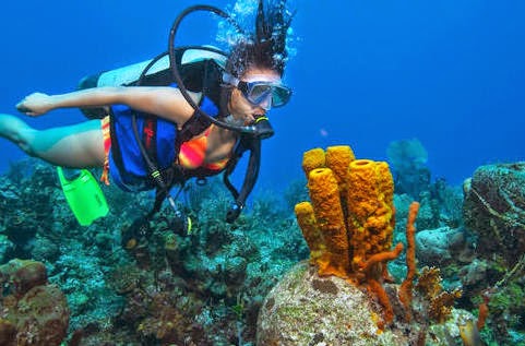 Havelock Island Andaman Nicobor India tourism scuba diving