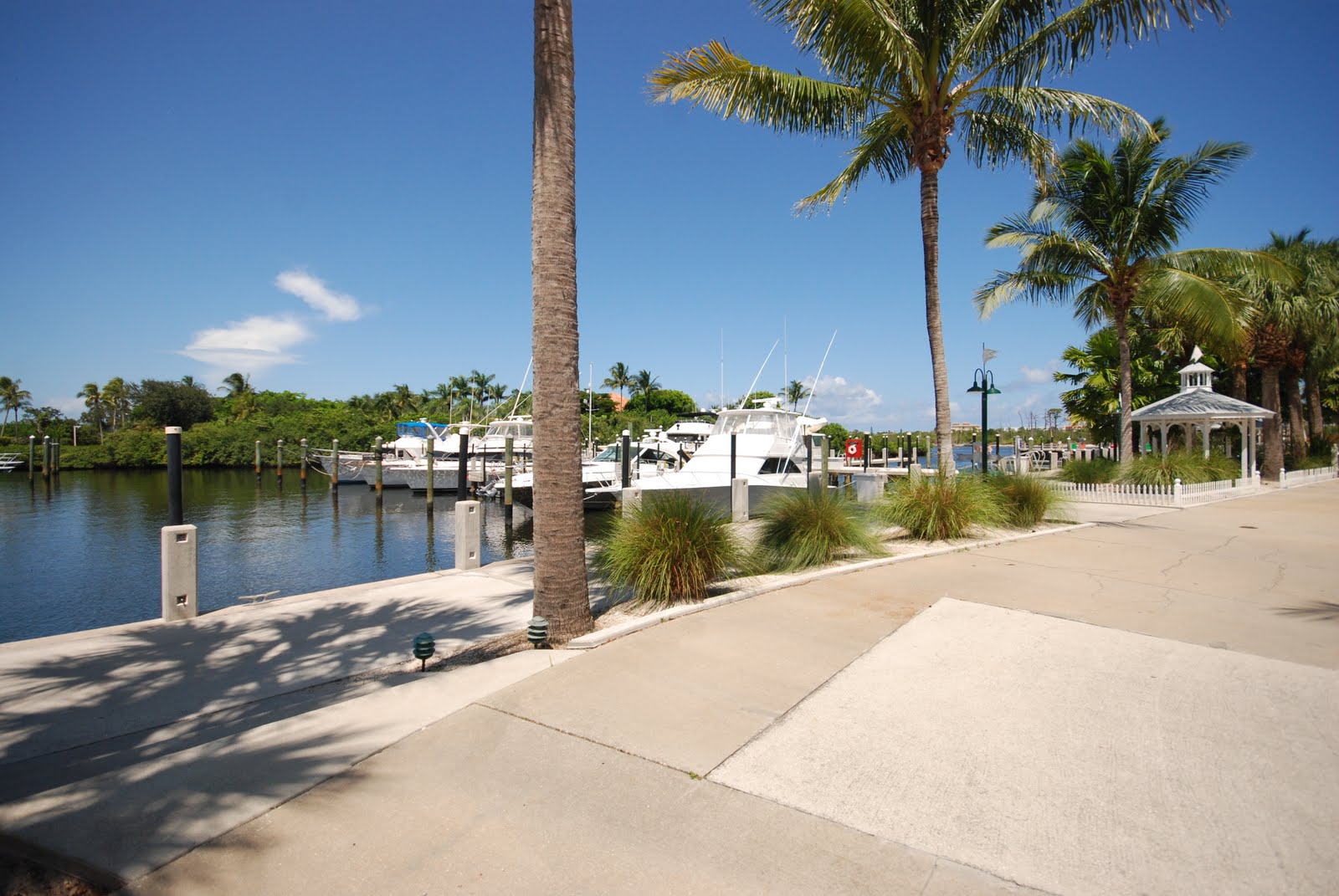 Jupiter Waterfront & Club Communities Docks for Sale in Jonathan's