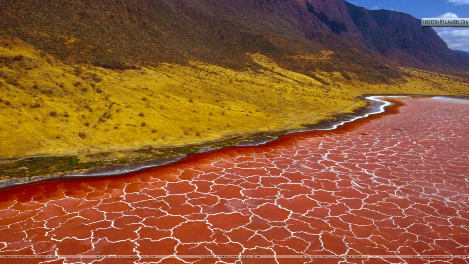 lago natron. lago natron.