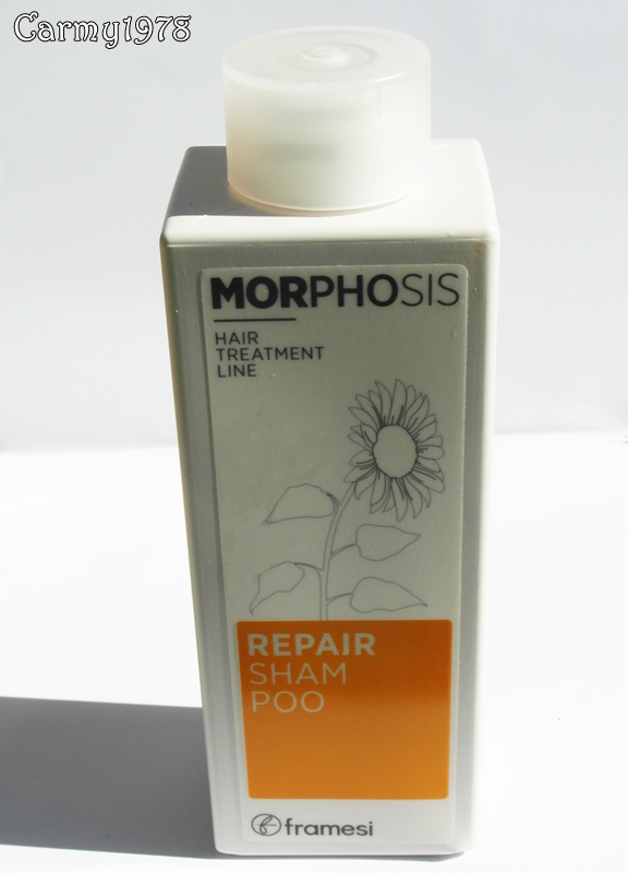 framesi-morphosis-repair