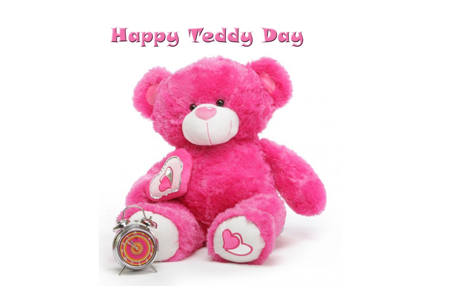Happy Teddy Day 2019 Images Quotes GIF and Wishes For Your Loved Ones