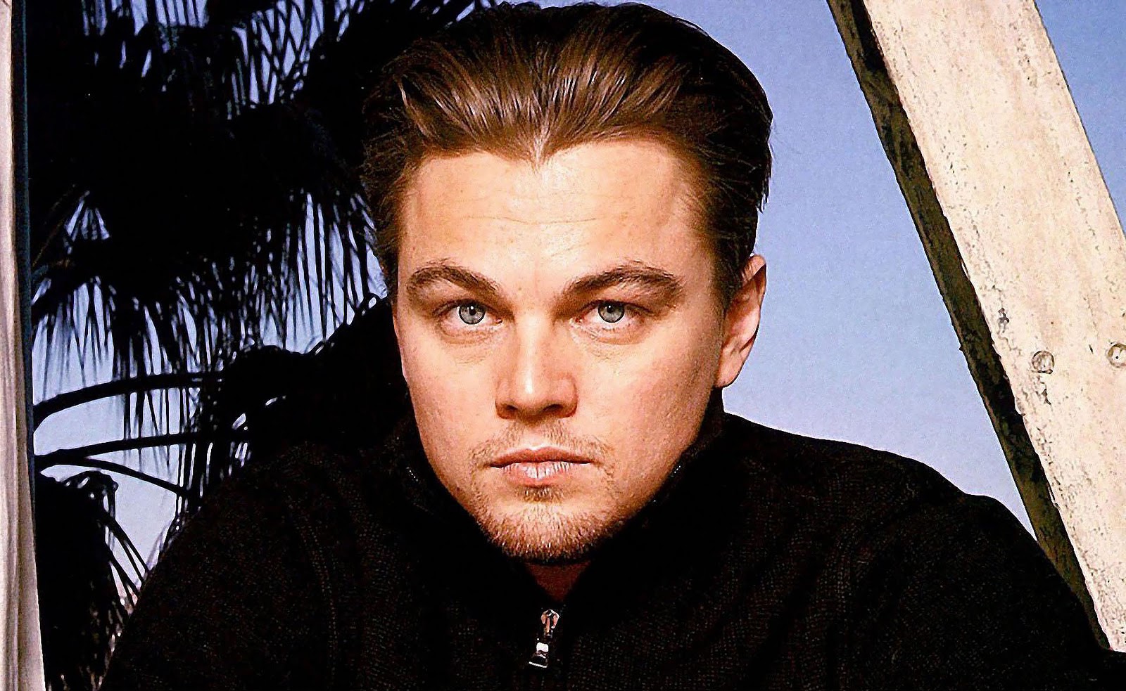 Leonardo DiCaprio wallpapers - Best HD Desktop Wallpaper1600 x 983