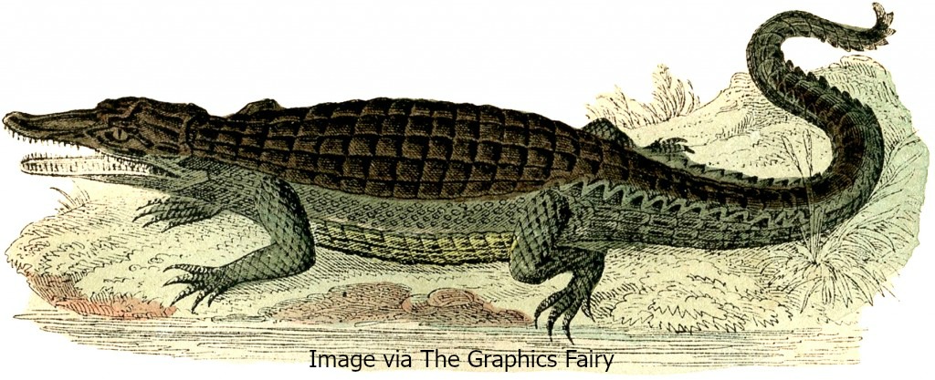 To learn more about the Mobile-Tensaw Delta, click on the gator.