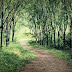 The Legend Of Haunted Igorchem Road Of Goa In India