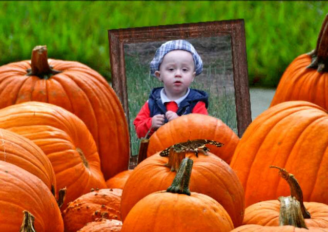 Мальчик тыква. Малыш в тыкве. Тыква ребенку 8 месяцев. Тыква для детей. Введение тыквы в прикорм грудничку.