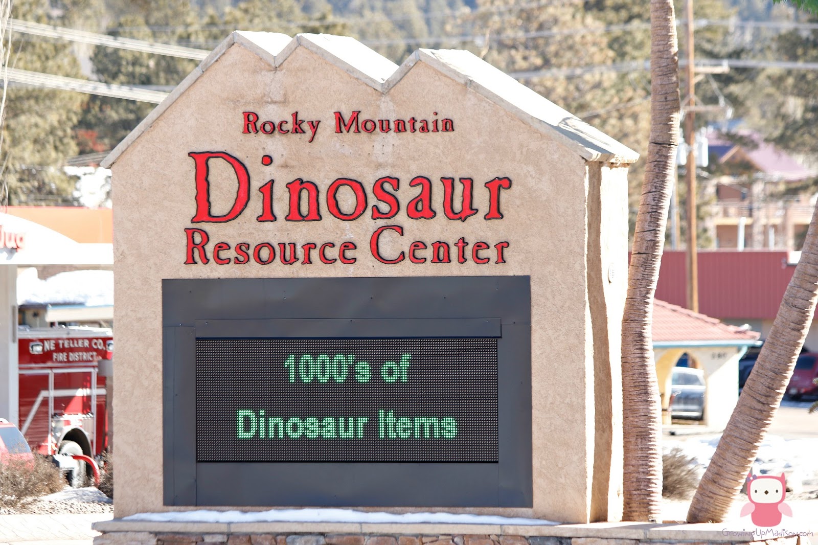 rocky mountain dinosaur museum