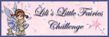 Lili's Little Fairies Challenge