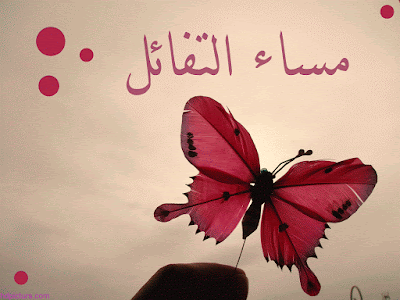 صور مساء الخير