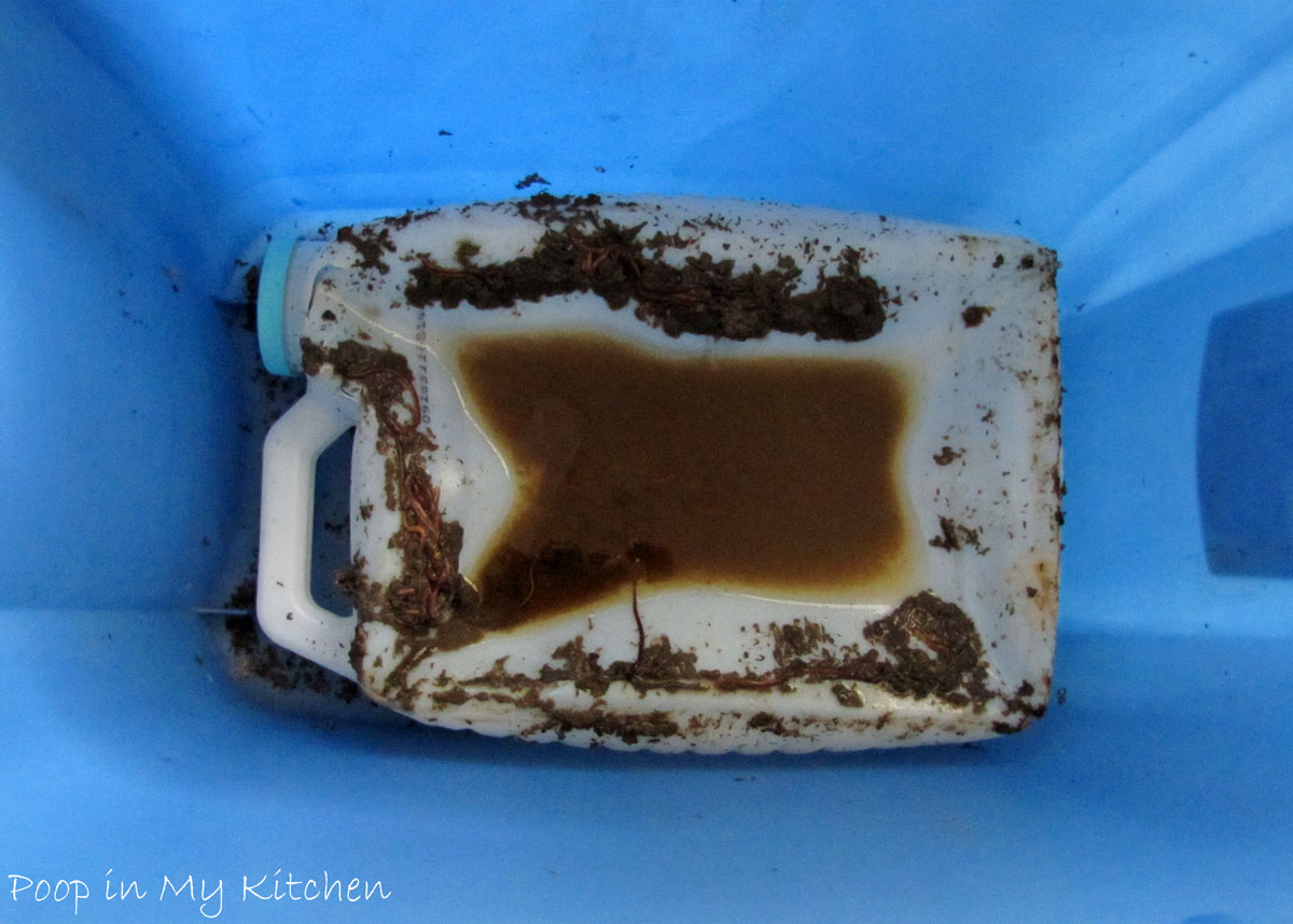 Poop in My Kitchen Why Catch Bins are a Good Idea