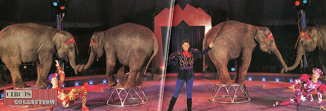 les éléphants du Cirque Knie mis en scène par le cirque du soleil