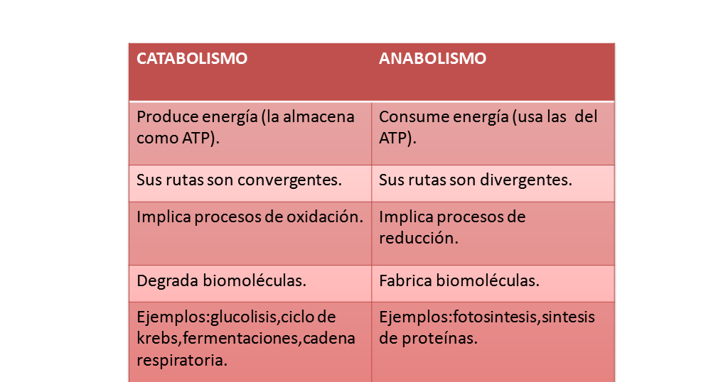 Ideas para ayudarle con metabolismo de los lipidos resumen
