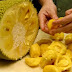 Scientist Reveals the Most Powerful Cancer Killer - Jackfruit