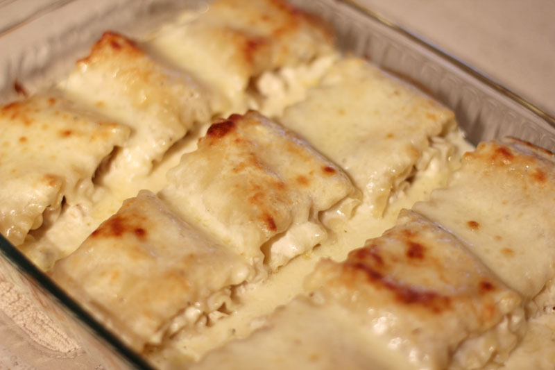 The Gano's: Chicken Alfredo Lasagna Roll Ups