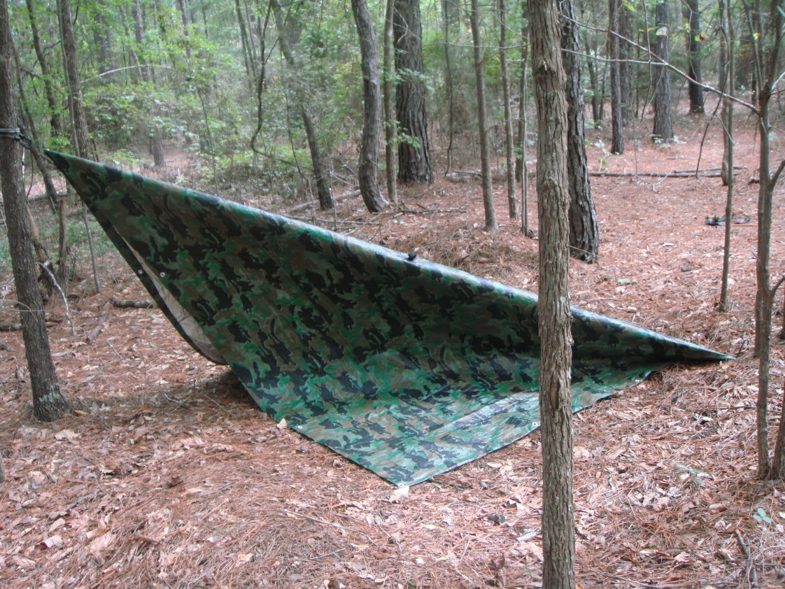 Sensible Survival The Plow Point or Diamond Fly Tarp SetUp