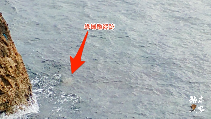 小琉球萬坪露營區|沙瑪基渡假區|露營烤肉看海龜IG拍照打卡地標