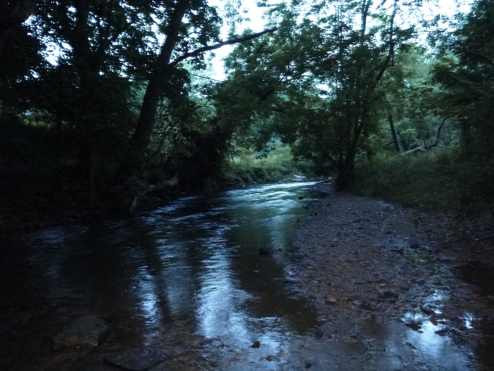 Troutrageous! Fly Fishing & Tenkara Blog: Valley Creek ...