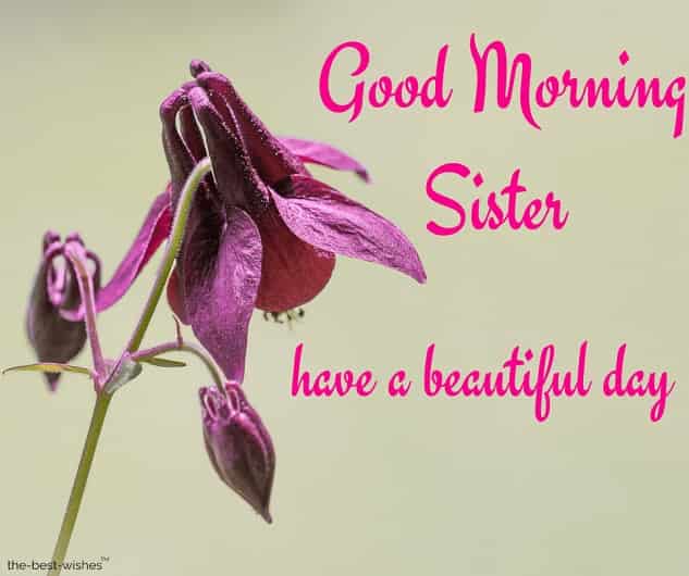 good-morning-sister-have-a-beautiful-day good morning sister have a beautiful day