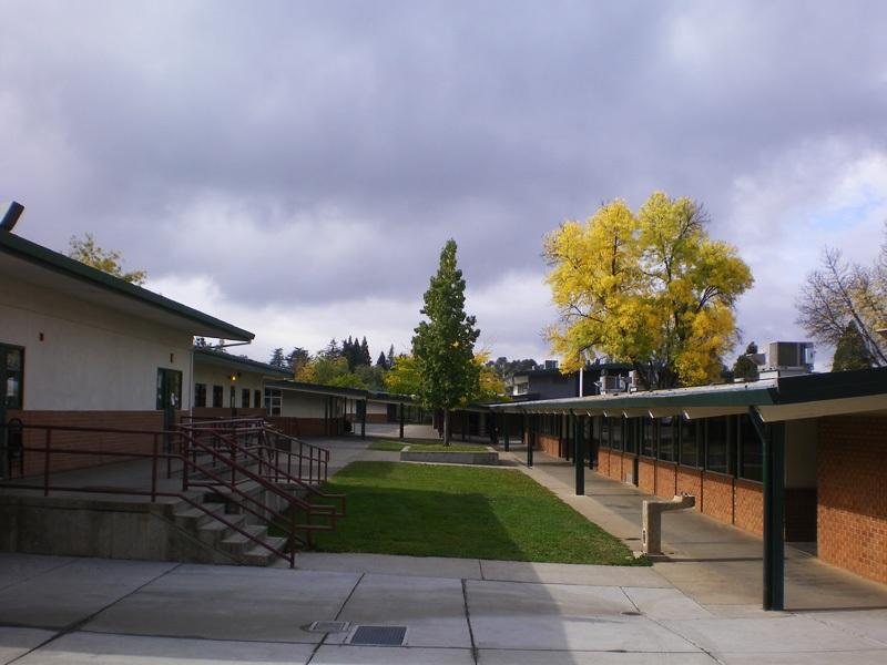 Jacqueline Raeanne Nesbitt Markham Middle School Sixth and Seventh Grade