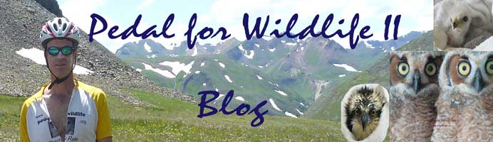 Pedal 4 Wildlife II Blog