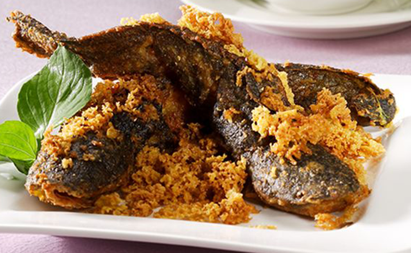Resep Cara Membuat Ikan Lele Goreng Kremes Gurih Dan Lezat