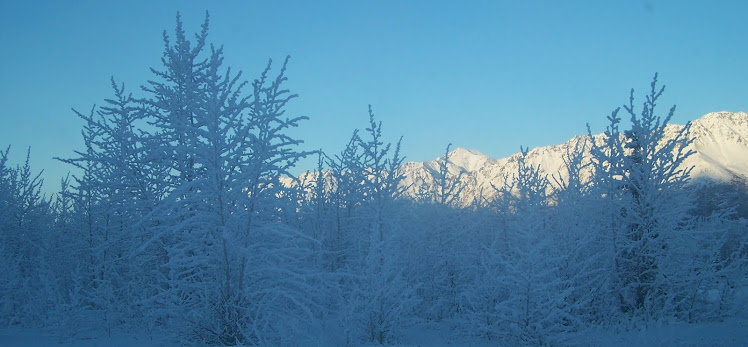 Alaskan Winter