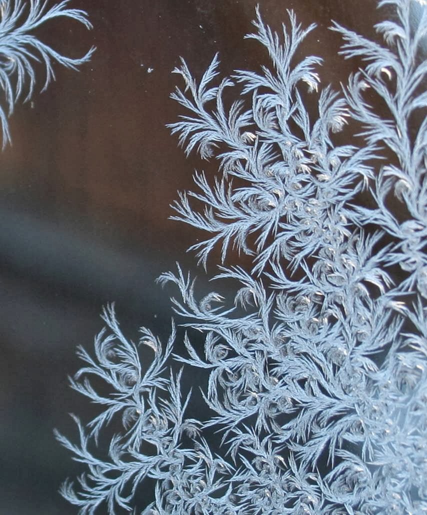 Frost On Glass Ice Flower Art Kuriositas
