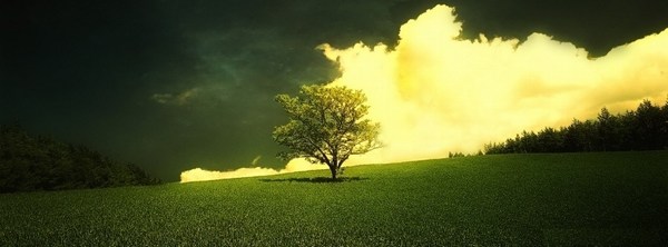 Wonderful nature facebook Cover Photos in HD