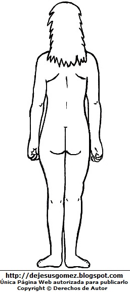 Cuerpo humano - Vista posterior Dibujo del cuerpo humano de la mujer para colorear, pintar e imprimir (Vista posterior o Vista Dorsal o detrás). Dibujo del cuerpo humano de Jesus Gómez