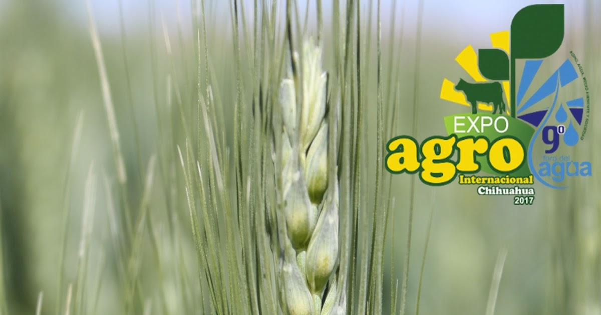 La Utopía Produce sector agrícola chihuahuense más de 26 mil mdp al año.