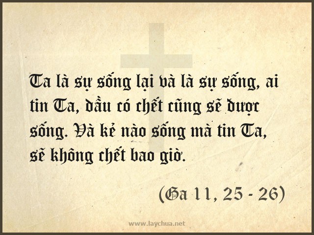 Con đã tin Thầy là Đấng Kitô, Con Thiên Chúa hằng sống