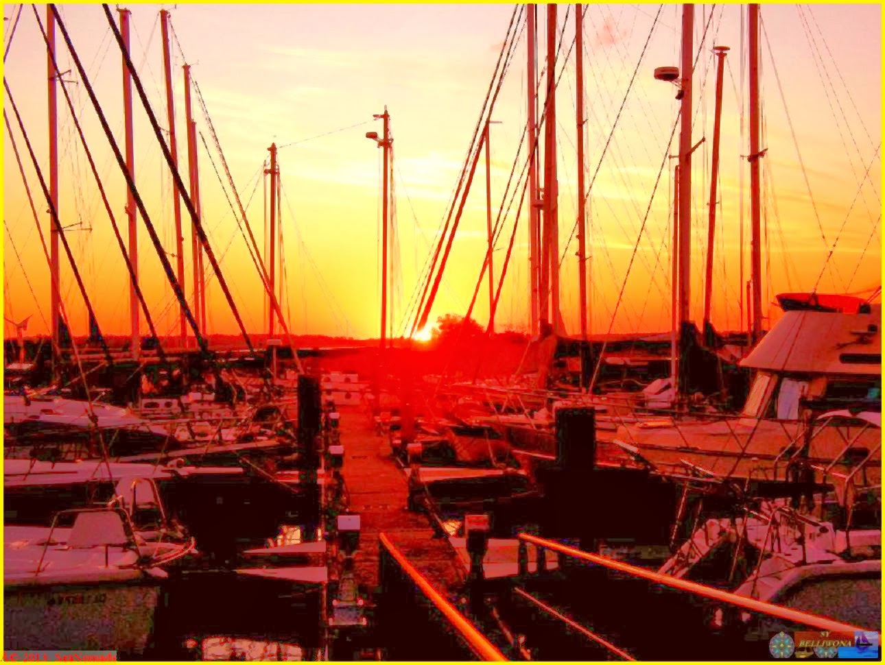 World Citizen 01.02.14