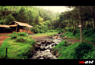 nnoart: Sungai dari Coban Brues di Bedengan Malang Ini adalah aliran sungai yang berasal dari arah barat (Coban Brues) yang mengalir ke arah timur melalui Bedengan Malang.